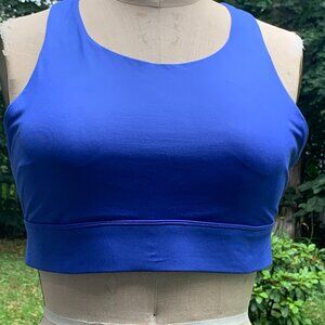 New Listing: Fabletics High-Impact Blue Sports Bra